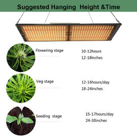 M301B Quantum Board LED Plant Grow Light Hydroponics System Tent Lamp